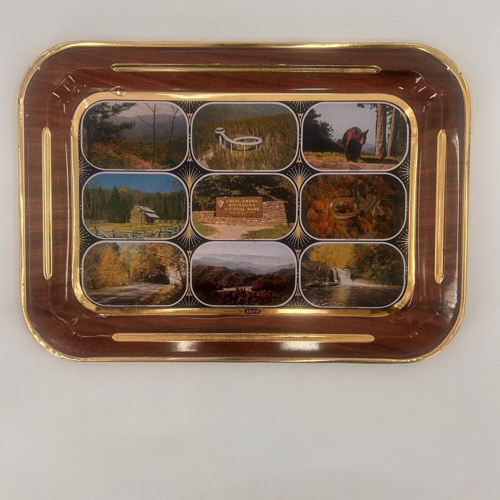 GREAT SMOKY MOUNTAINS NATIONAL PARK EXPO METAL SERVING TRAY VTG FAST SHIPPING
